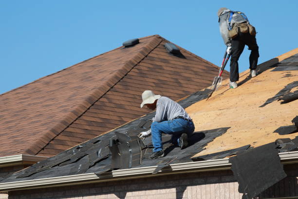 Best Sheet Metal Roofing  in Welby, CO