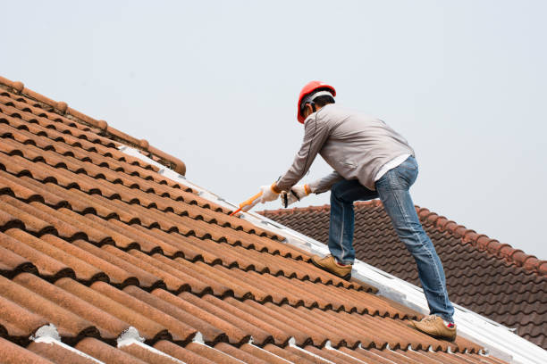 Best Emergency Roof Repair Services  in Welby, CO