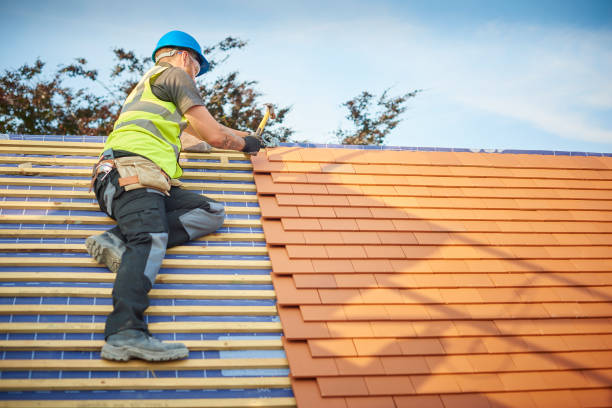 Best Solar Panel Roofing Installation  in Welby, CO